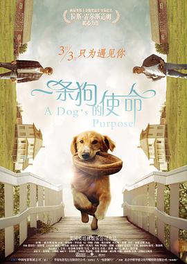 一区二区网站