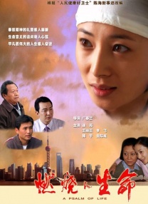 免费国产之a视频