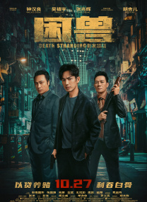 喜欢自由的友谊