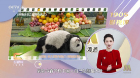 国产欧美在线观看不卡一
